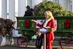 Abeto que resiste a huracán Helen será el árbol de Navidad de la Casa Blanca