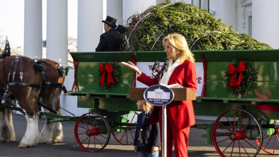 Jill Biden continúa la tradición de llevar el Pino Navideño a la Casa Blanca, iniciada por la ex primera dama, Mamie Eisenhower, en los años 50s.