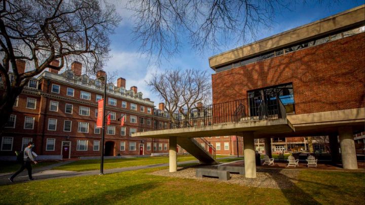San Pedro lanza beca para estudiar en Harvard: Requisitos
