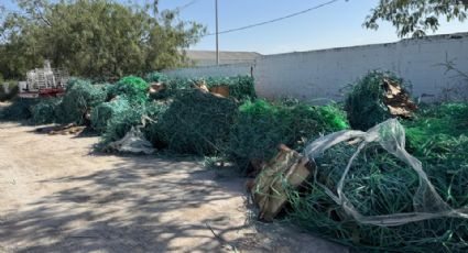 Multan con 108 mil pesos a trailero por tirar pacas en calles de Escobedo