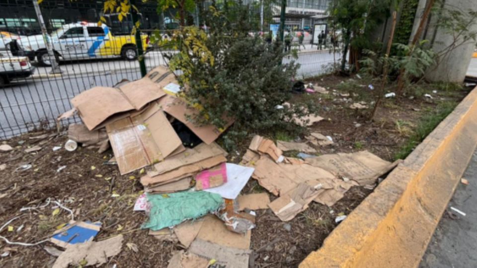 Árbol en la parte baja de la Línea 1 del Metro.