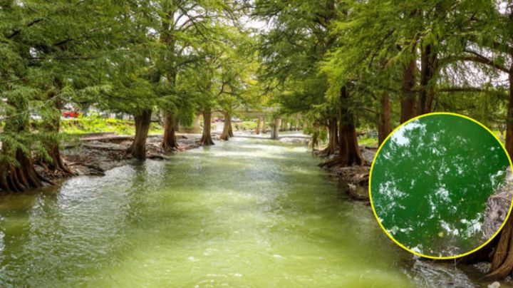 Guadalupe denuncia derrame de aguas verdes en el río La Silla