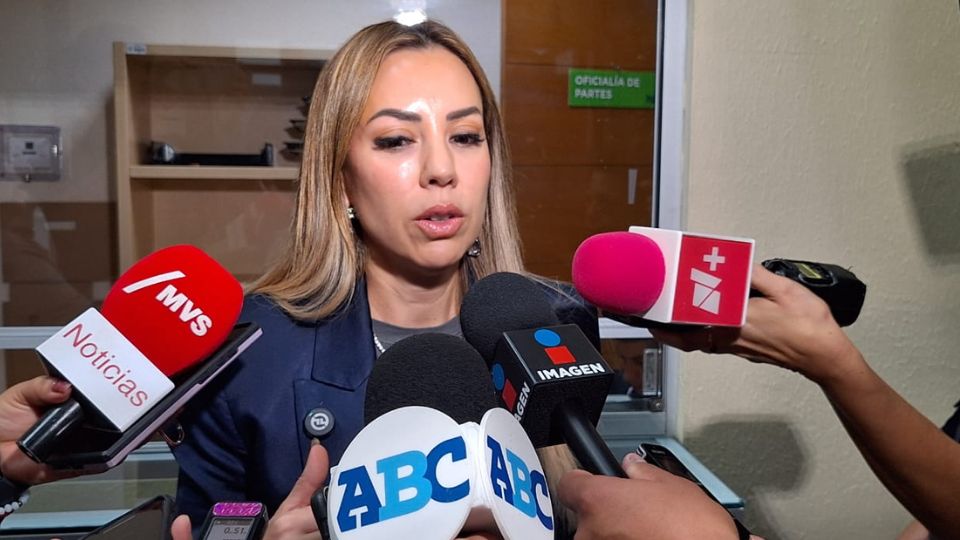 Perla Villarreal, diputada del PRD