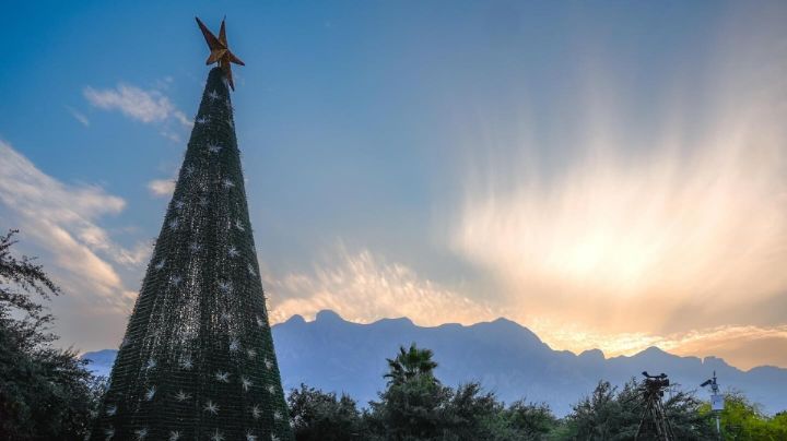 Encienden pino navideño en Santa Catarina junto a 4 mil personas
