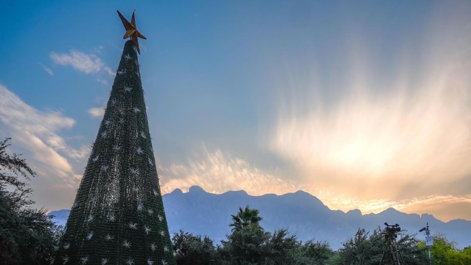 Pino navideño en Santa Catarina | Facebook / Jesús Nava