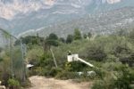 Desmantelan línea eléctrica clandestina en La Huasteca