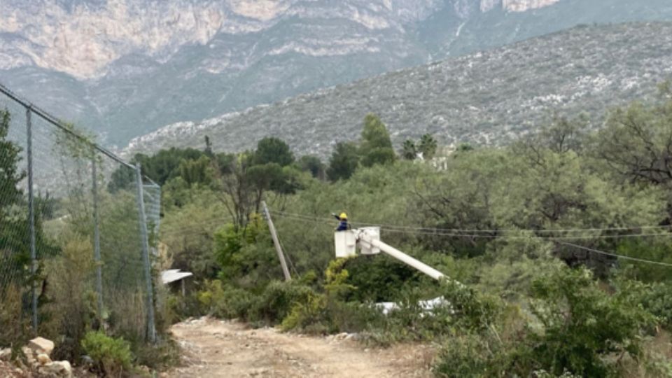 El operativo se realizó en el área conocida como Pico del Águila, cerca de la comunidad de Nogales, en Santa Catarina.