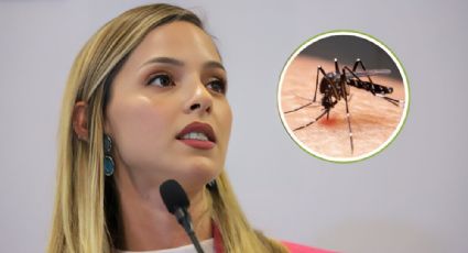 Mariana Rodríguez da positivo a dengue, ¿Cuál es su estado de salud?