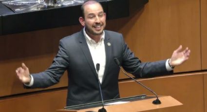 Marko Cortés pide a Sheinbaum reconocer al ‘narcoterrorismo’