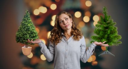 Árbol de Navidad: ¿Es mejor comprar uno artificial o natural? Esto dicen los expertos