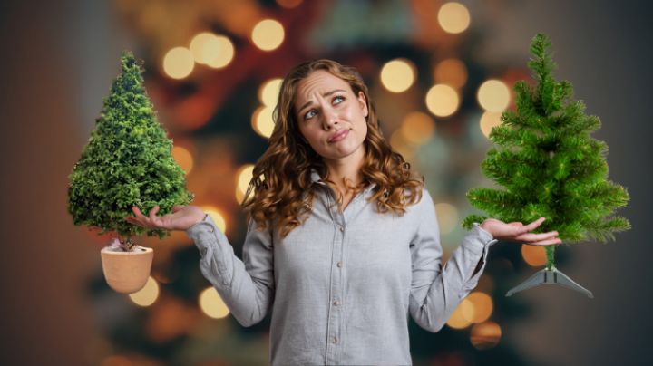 Árbol de Navidad: ¿Es mejor comprar uno artificial o natural? Esto dicen los expertos