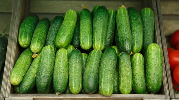 Estados Unidos retira pepinos mexicanos por infectar de salmonella a 68 personas