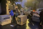 Medio Ambiente rescata 23 perros en condiciones de maltrato en San Pedro