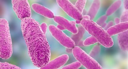 México emite alerta por brote de Klebsiella oxytoca: ¿Qué es?