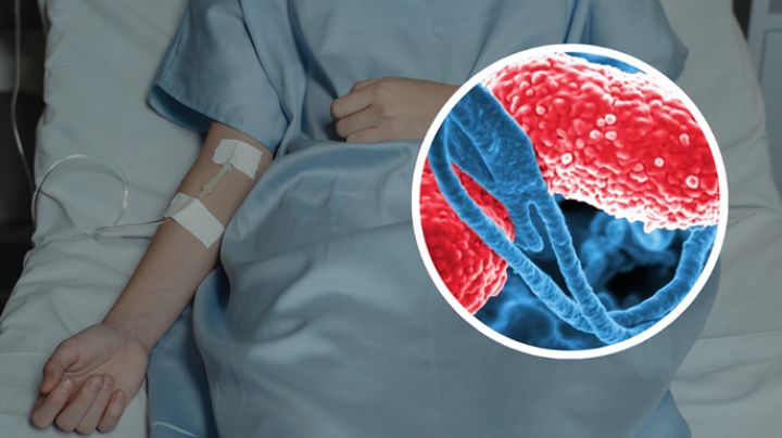 Bacteria Klebsiella oxytoca: Cómo afecta al cuerpo y Cómo se transmite