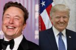 Elon Musk invierte más de 250 mdd en campaña presidencial de Donald Trump