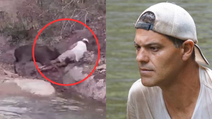 Video: Ciervo embiste violentamente al veterinario Frank Cuesta