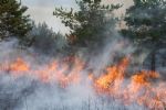 Hombre va a prisión por causar incendio forestal durante revelación de género en EU