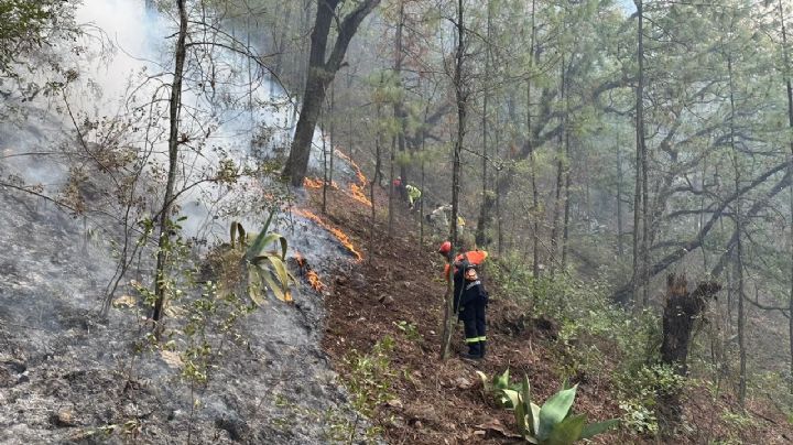 Continúa PC trabajos de sofocación tras incendio en sierra de Santiago