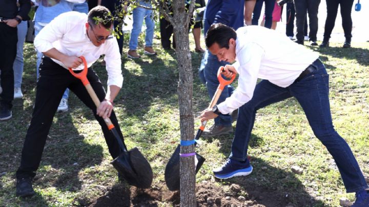 Plantan alcaldes de Monterrey y San Nicolás 50 encinos en colonia Industrias del Vidrio
