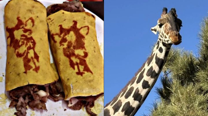 'Benitaco', crean tacos con la imagen de la Jirafa Benito