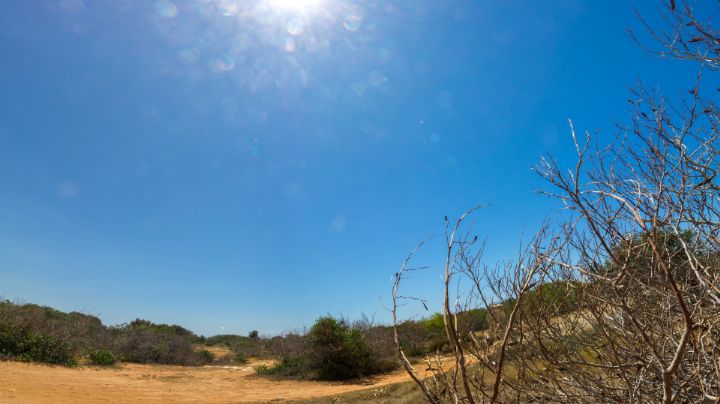 Emiten alerta por próxima llegada de fenómeno La Niña a México