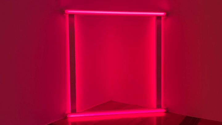 Museo MARCO inaugura exhibición de Dan Flavin
