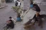 Video: Jóvenes son atacados por una jauría de perros en Metepec