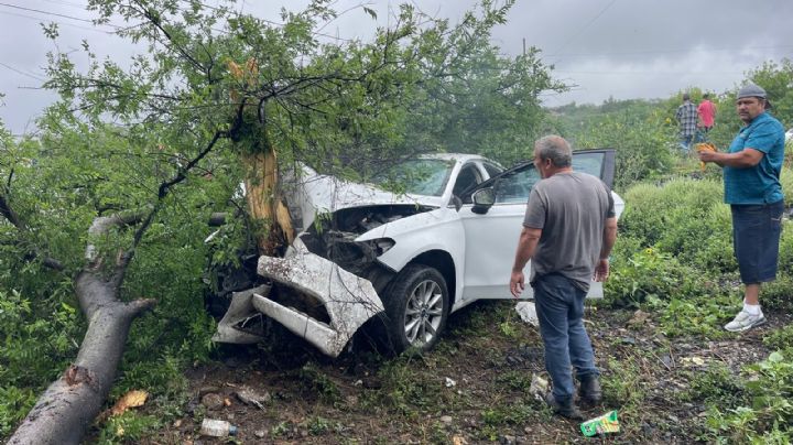Conductor derrapa e impacta su auto contra árbol en la Carretera Nacional