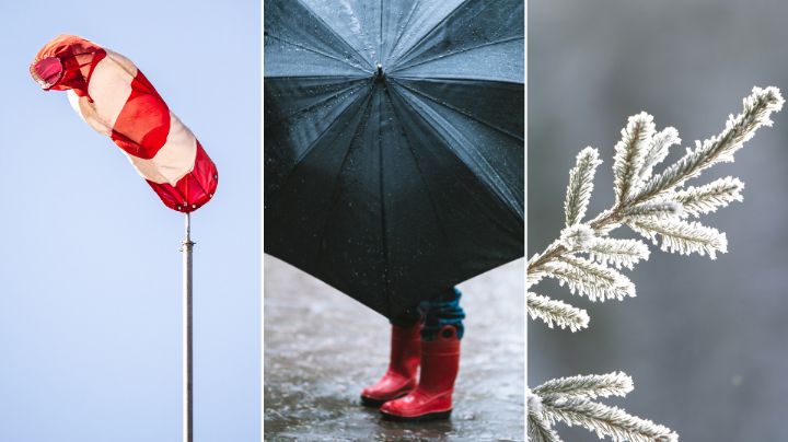 Se juntan frente frío 42 y tormenta invernal 8: ¿Qué afectaciones traerá?