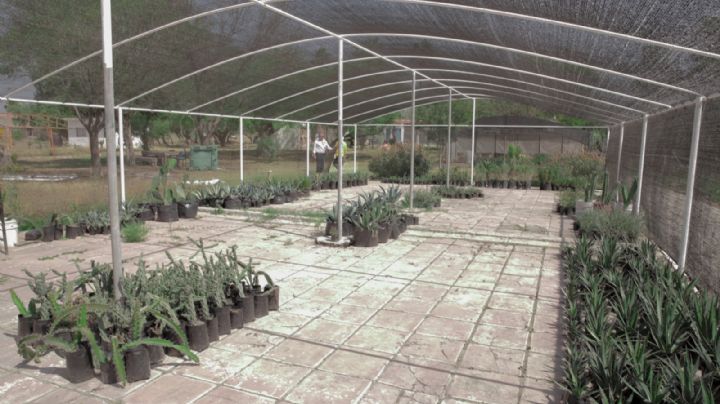 Abre la UANL jardín etnobiológico en Marín