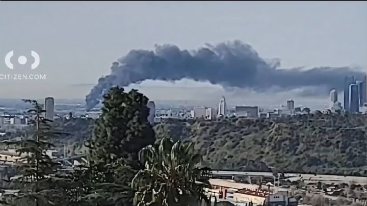 Se incendia fábrica de cannabis que operaba ilegalmente en Los Ángeles