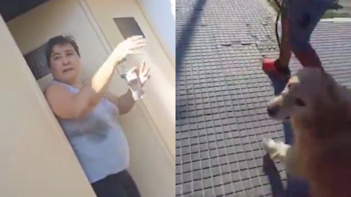 Mujer lleva a su perro de 9 años a una carnicería y pide que lo maten en Argentina