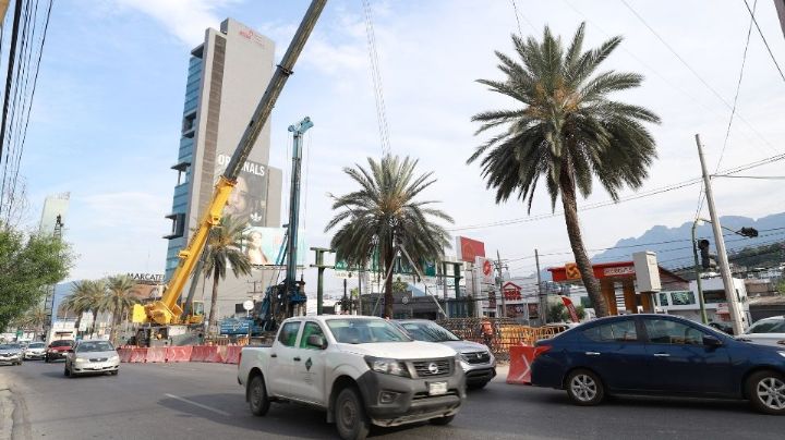 Retirarán palmeras de San Jerónimo por obras del Metro