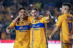 Miguel de Jesús Fuentes: Nunca se puede dar a Tigres por vencido
