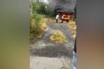 Mujer muere durante incendio de auto en Hualahuises; esposo resulta herido al intentar rescatarla