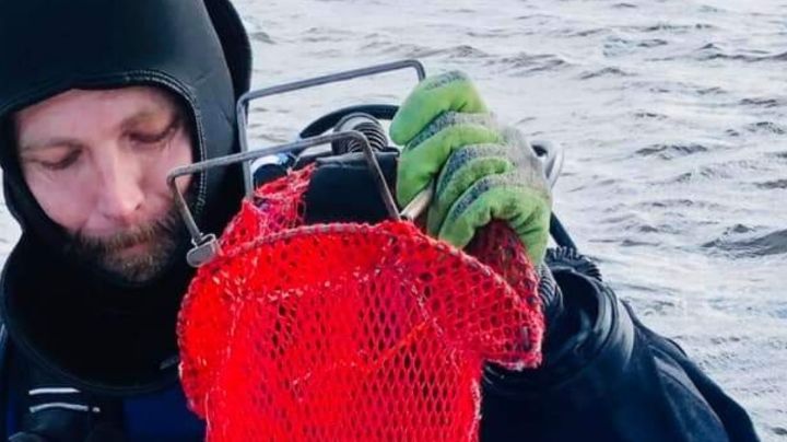 Buzo cuenta cómo logró escapar tras ser atrapado bajo el agua por un caimán