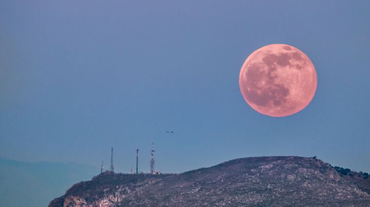 Esta noche México será testigo de la Luna Rosa, ¿en qué consiste este fenómeno?