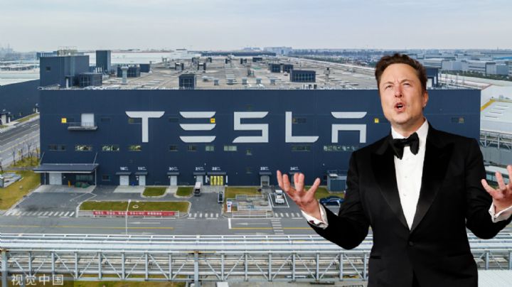 Ganancias de Tesla caen hasta en un 55% en el primer trimestre del año