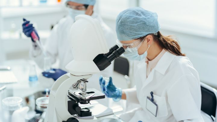 Estadounidenses contraen peligrosa bacteria durante tratamiento médico en México