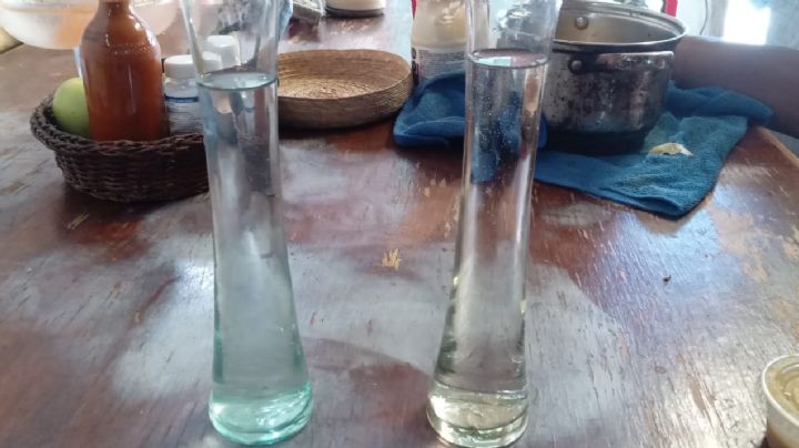 Denuncian agua contaminada en colonia Los Pinos, en San Pedro Garza García