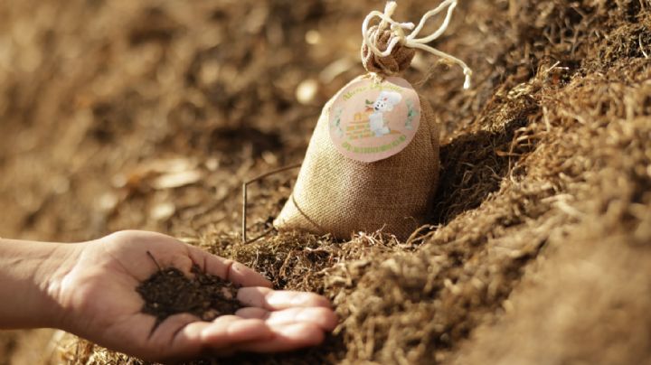 Empaques sustentables que contribuyen a una economía circular