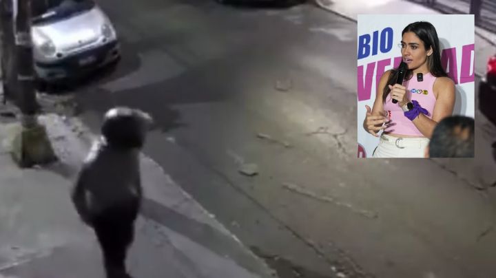 Capturan al tirador que atentó contra la Alessandra Rojo de la Vega en CDMX