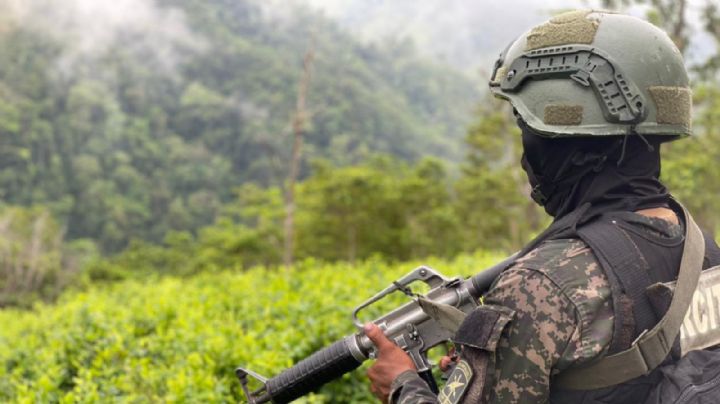 Gabinete de Seguridad rechaza 'mortífera conexión' entre México y criminales como asegura la DEA
