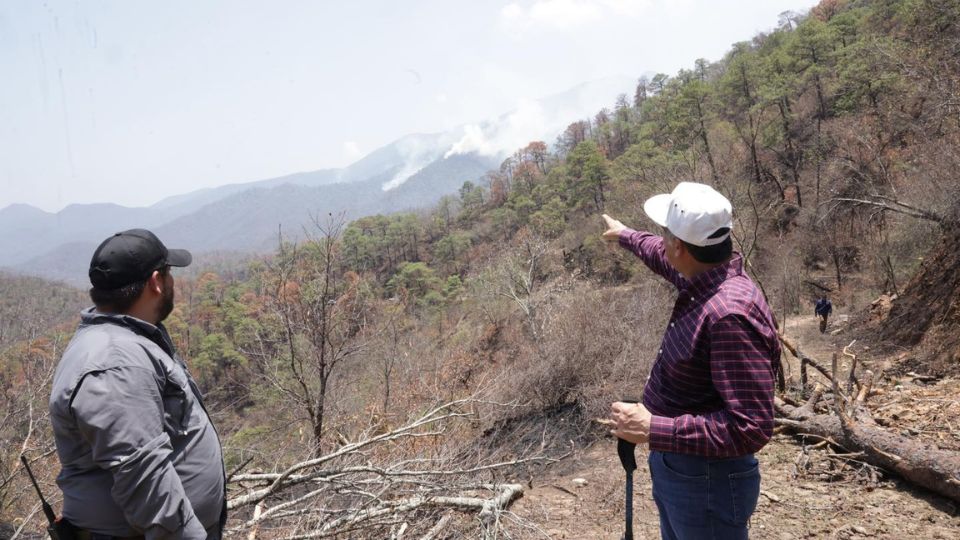 Incendio en el Cañón del Novillo | Facebook / Américo Villarreal