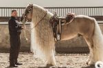 Canelo Álvarez: ¿Cuánto dinero valen los caballos del supercampeón mexicano?