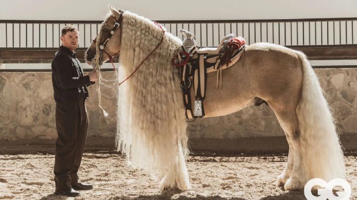 Canelo Álvarez: ¿Cuánto dinero valen los caballos del supercampeón mexicano?