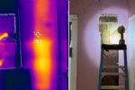 Niña juraba que había un monstruo en su habitación; eran 65 mil abejas