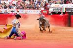 Suspenden, otra vez, las corridas de toros en la Plaza México