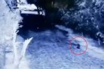 ¿Un duende? Captan misteriosa figura en finca de Monterrey